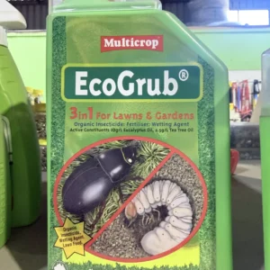 EcoGrub