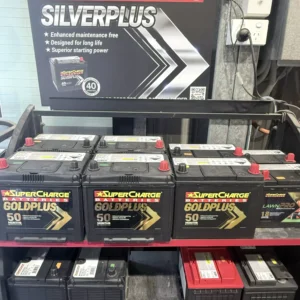 GoldPlus / SilverPlus Batteries